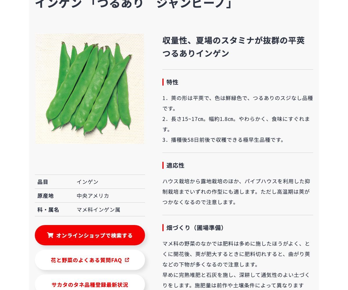 つるあり ジャンビーノ