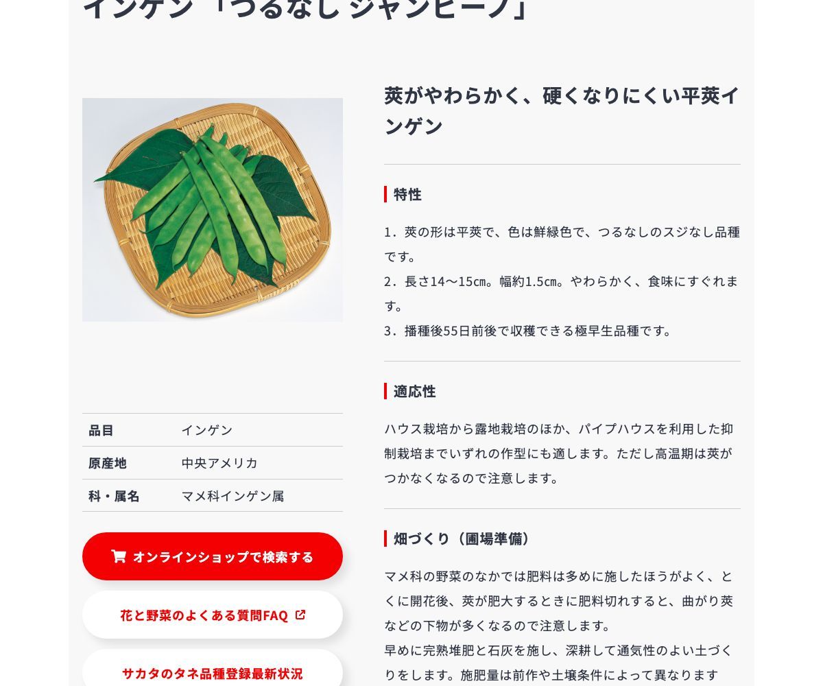 つるなし ジャンビーノ