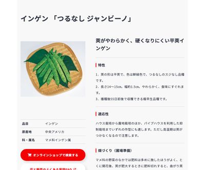 つるなし ジャンビーノの画像