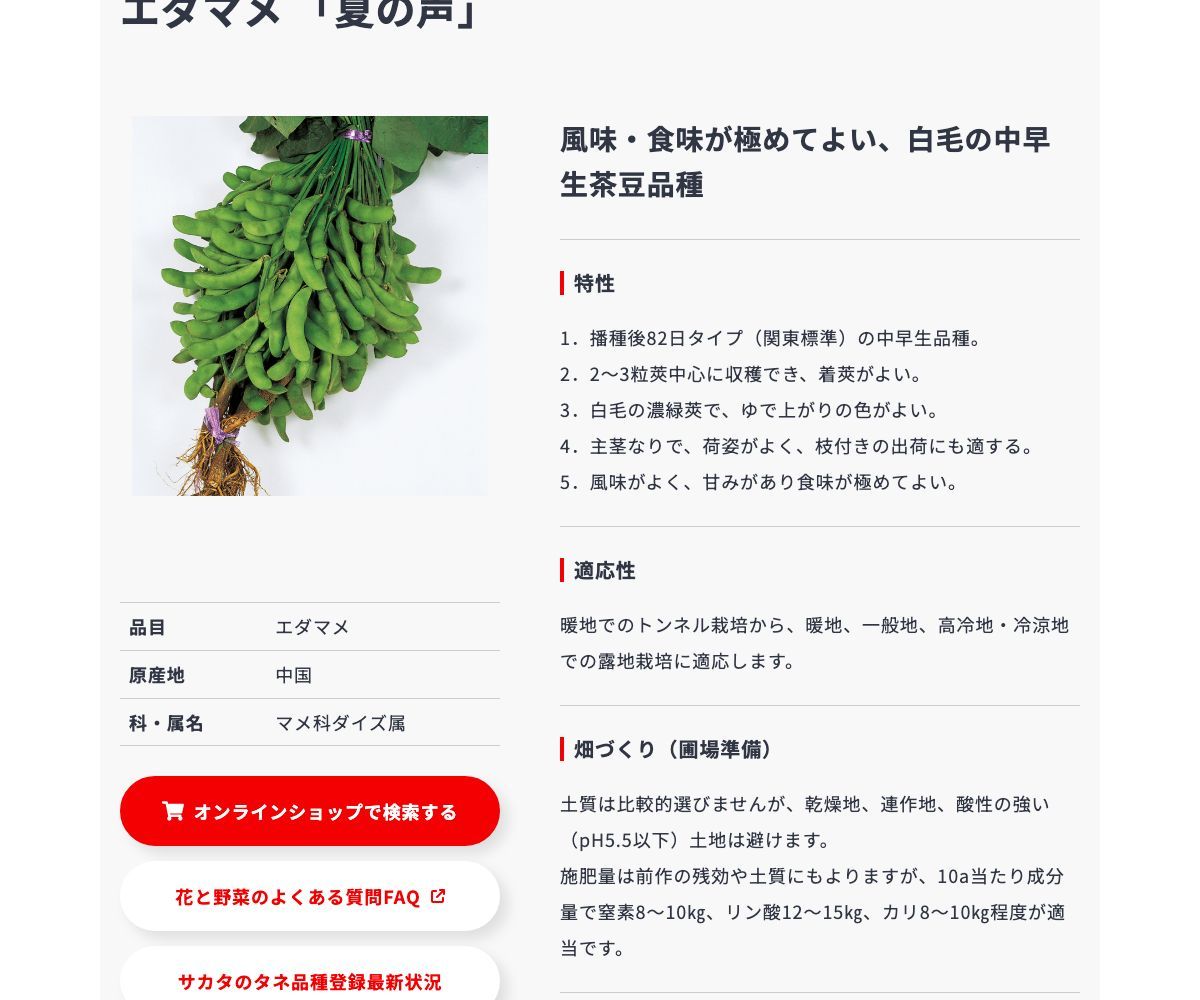 夏の声