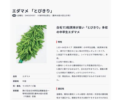 とびきりの画像