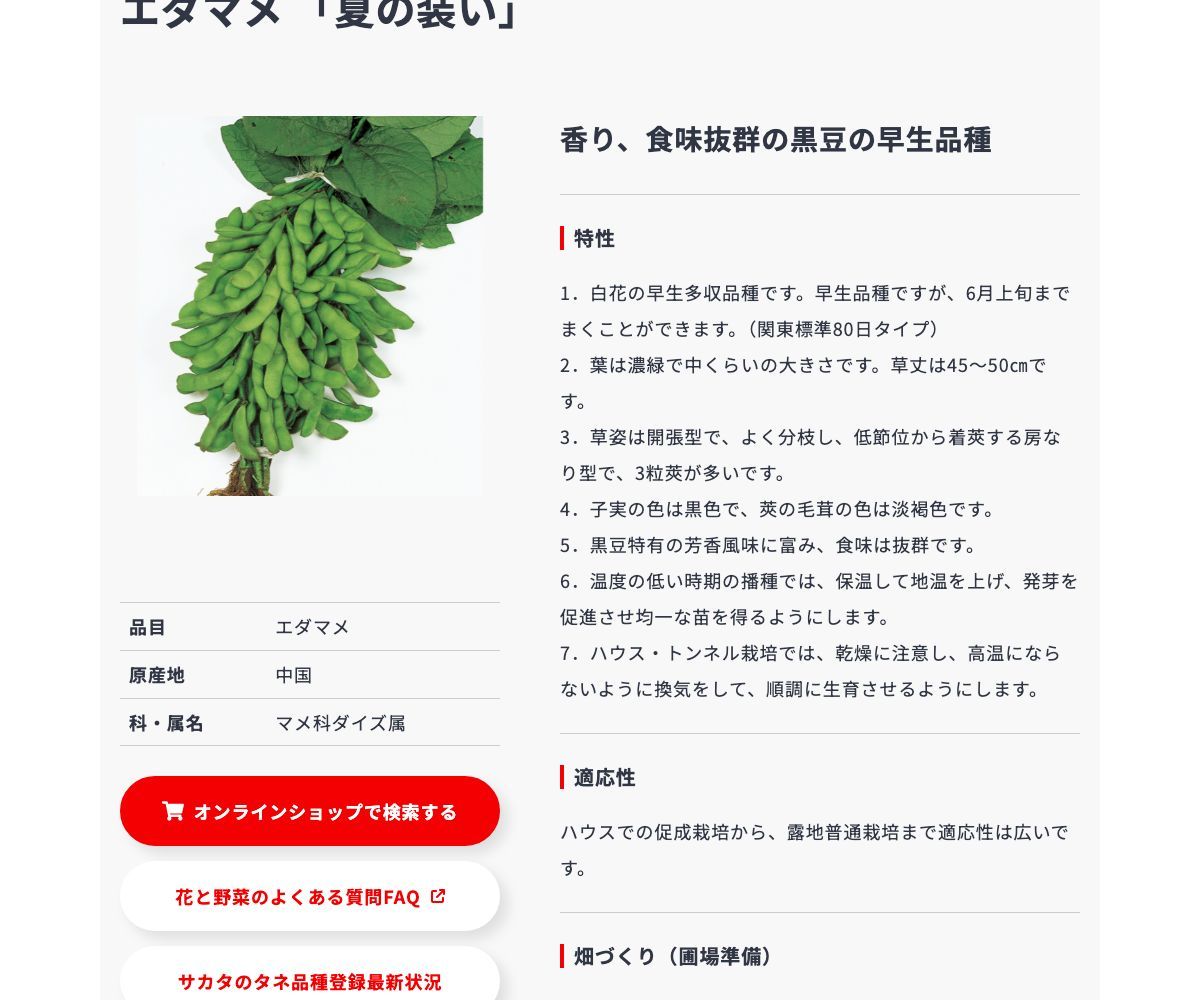夏の装い