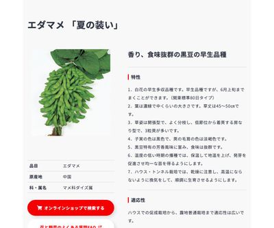 夏の装いの画像