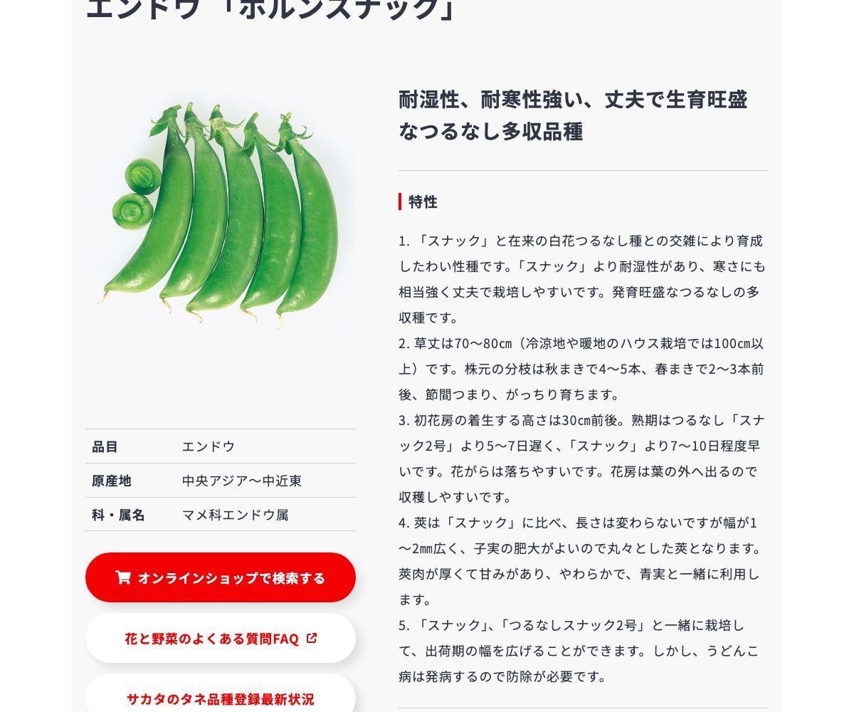 ホルンスナック