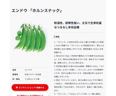 ホルンスナックの画像