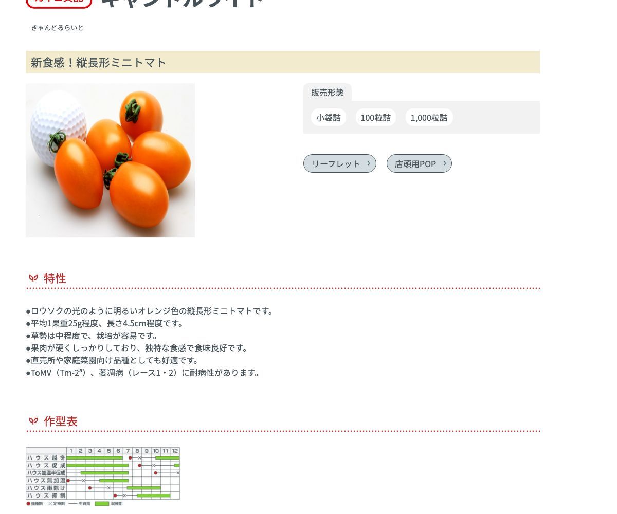 キャンドルライト