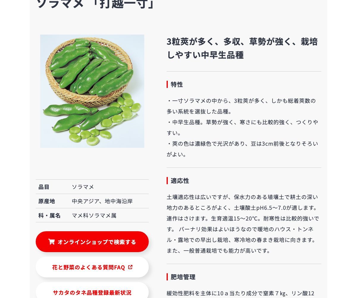 打越一寸