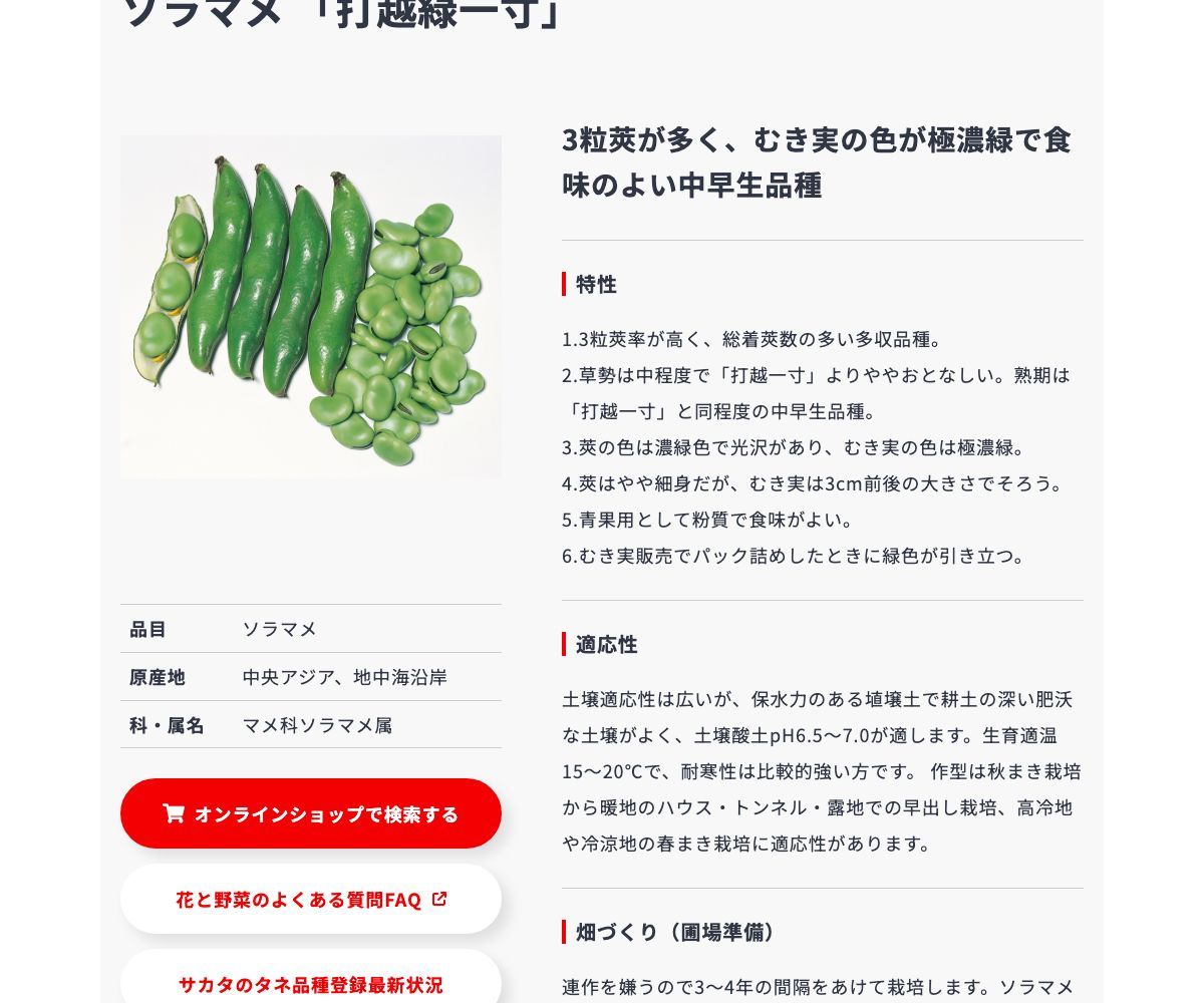 打越緑一寸