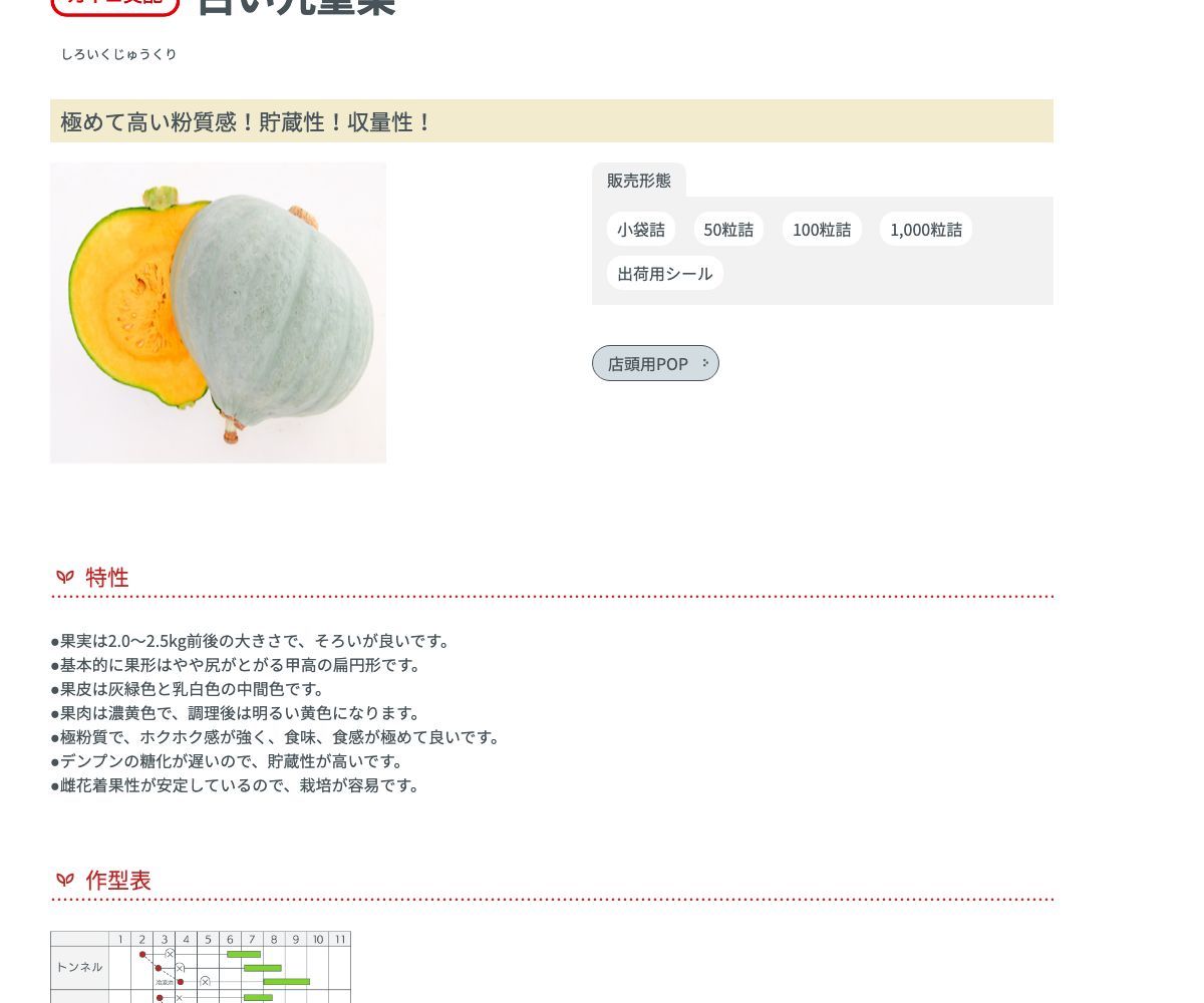 白い九重栗