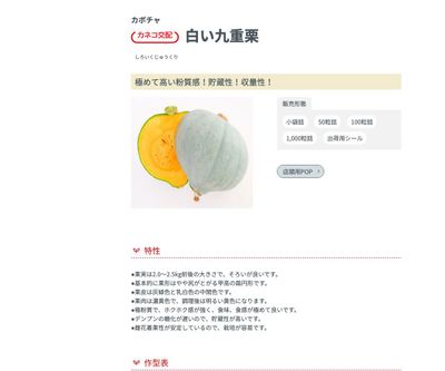 白い九重栗の画像