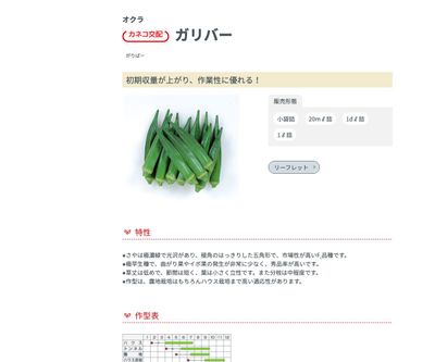 ガリバーの画像