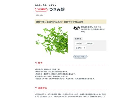 つきみ娘の画像