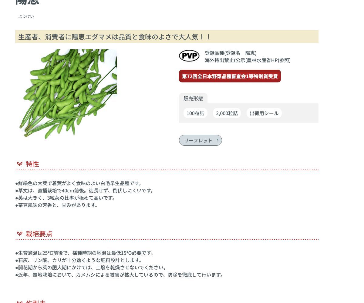 陽恵