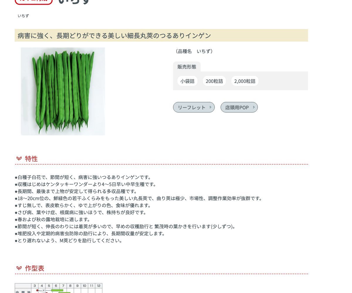 いちず