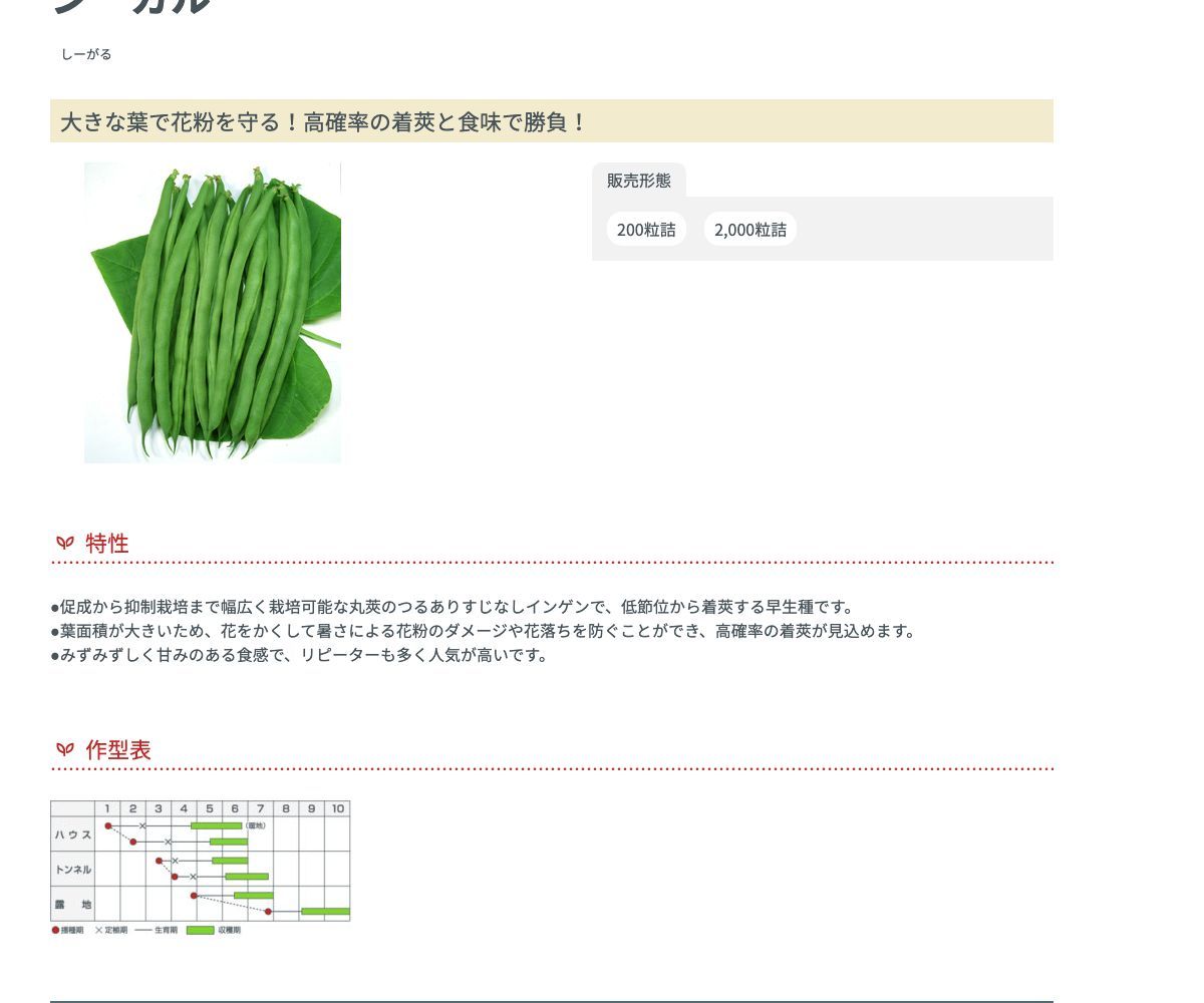 シーガル