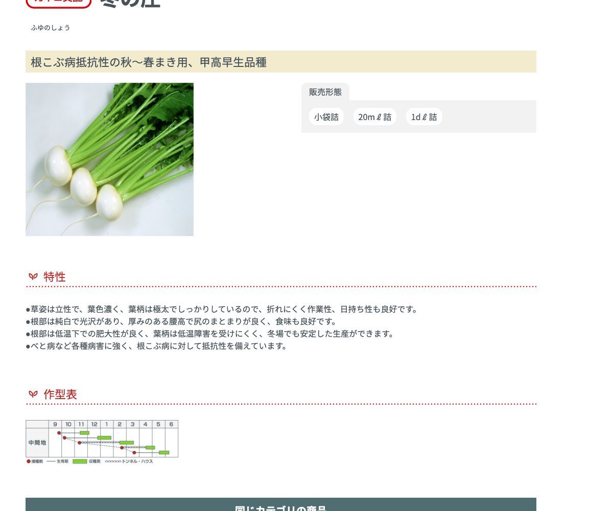 冬の庄