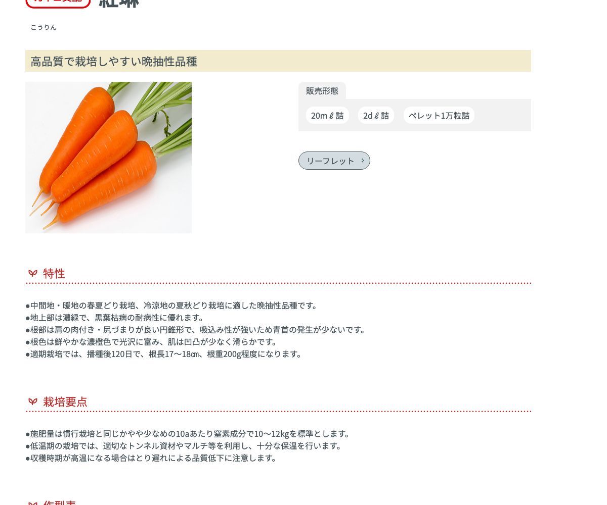 紅琳