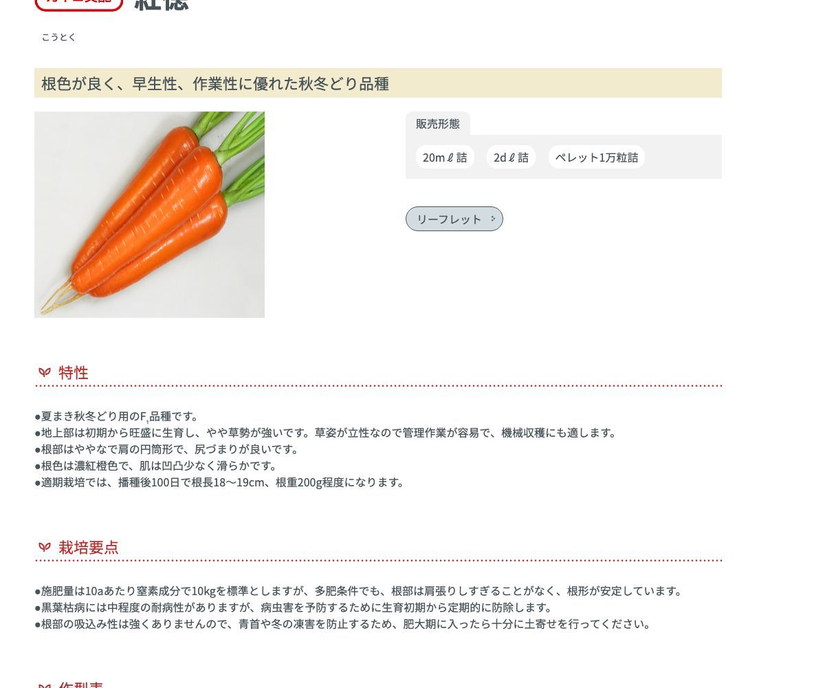 紅徳