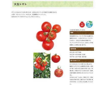 ぜっぴん！トマトの画像
