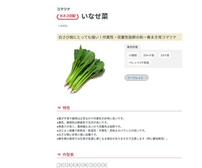 いなせ菜の画像