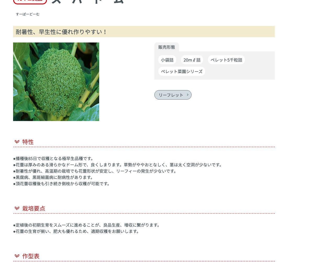 スーパードーム