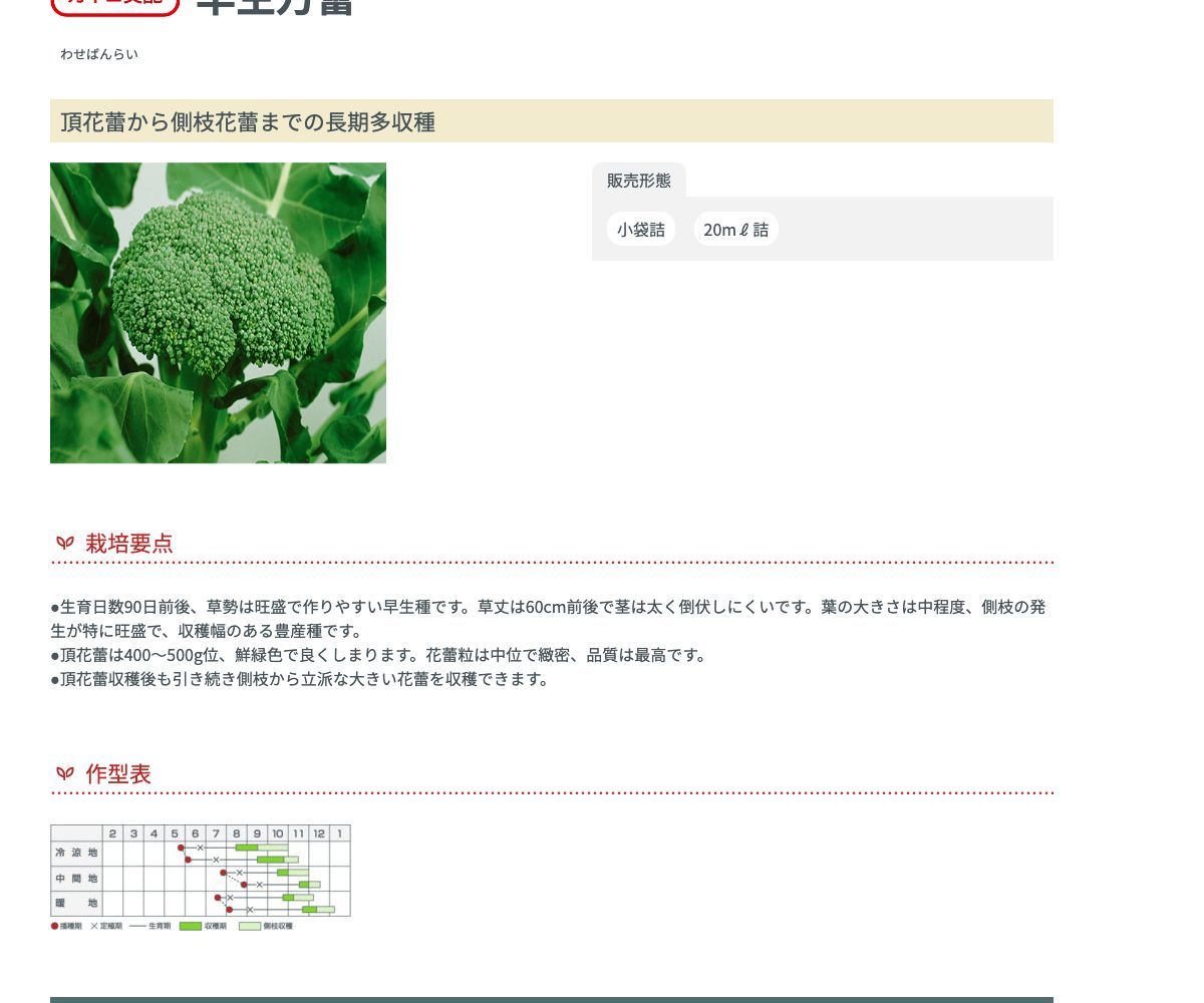 早生万蕾