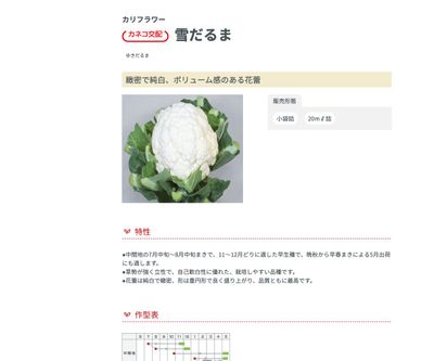 雪だるまの画像