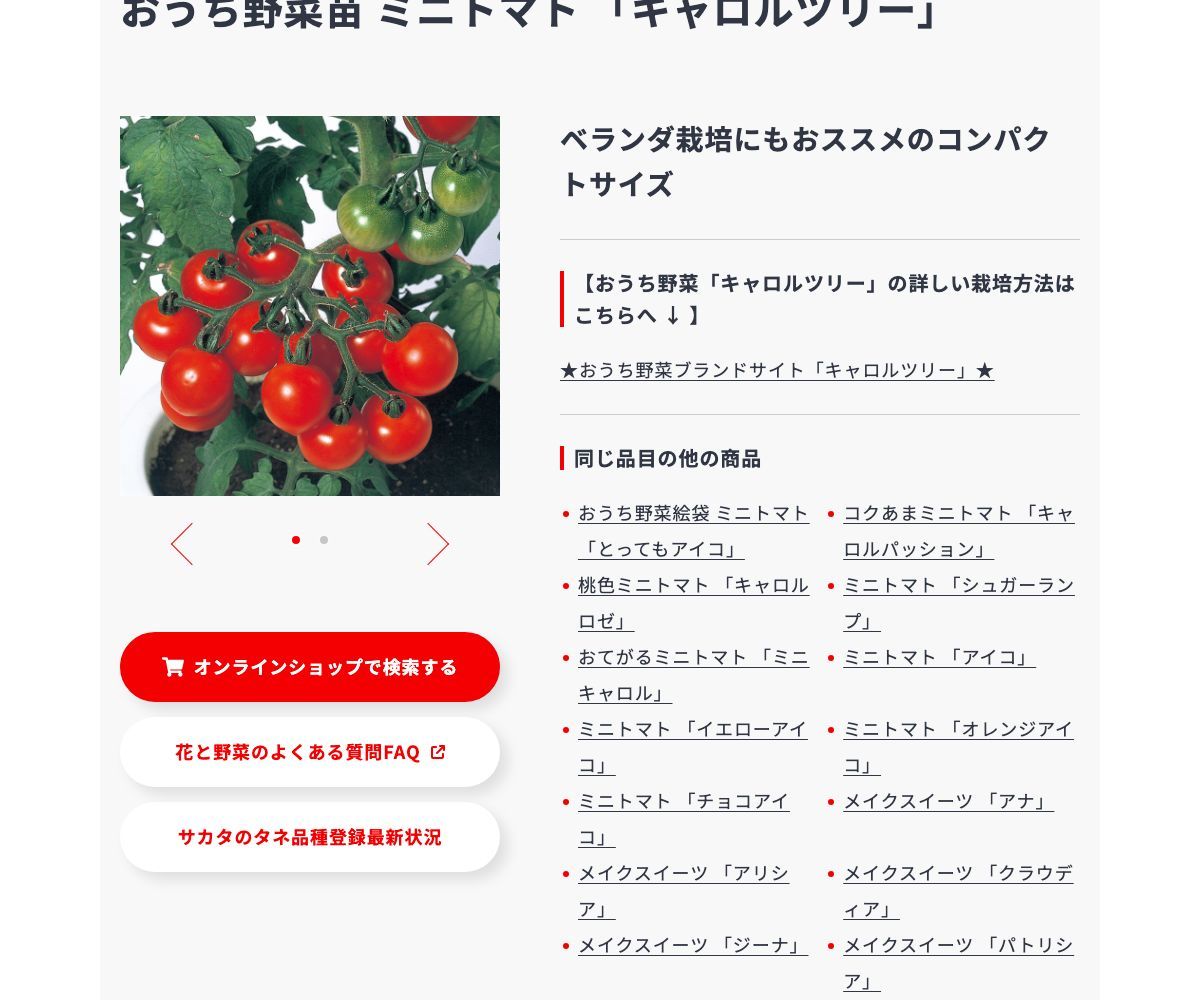 キャロルツリー