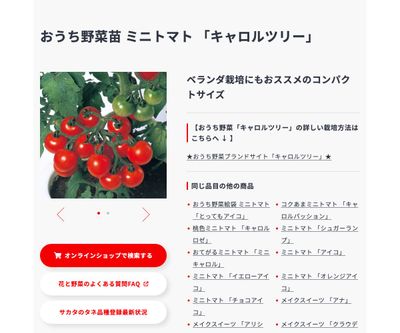 キャロルツリーの画像