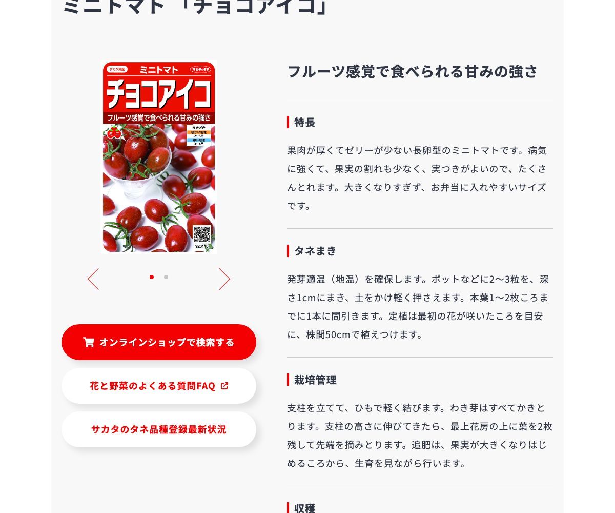 チョコアイコ