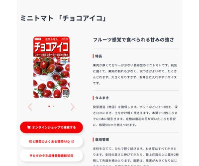 チョコアイコの画像