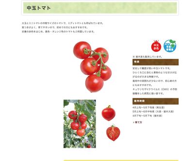 黄金のトマト®の画像
