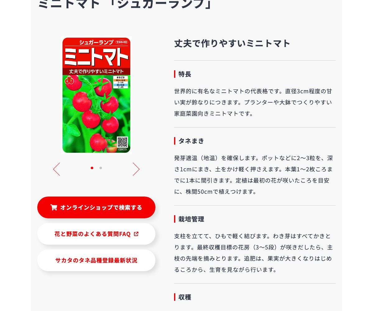 シュガーランプ