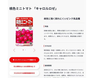 キャロルロゼの画像