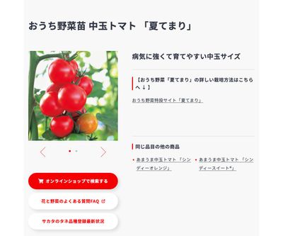 夏てまりの画像