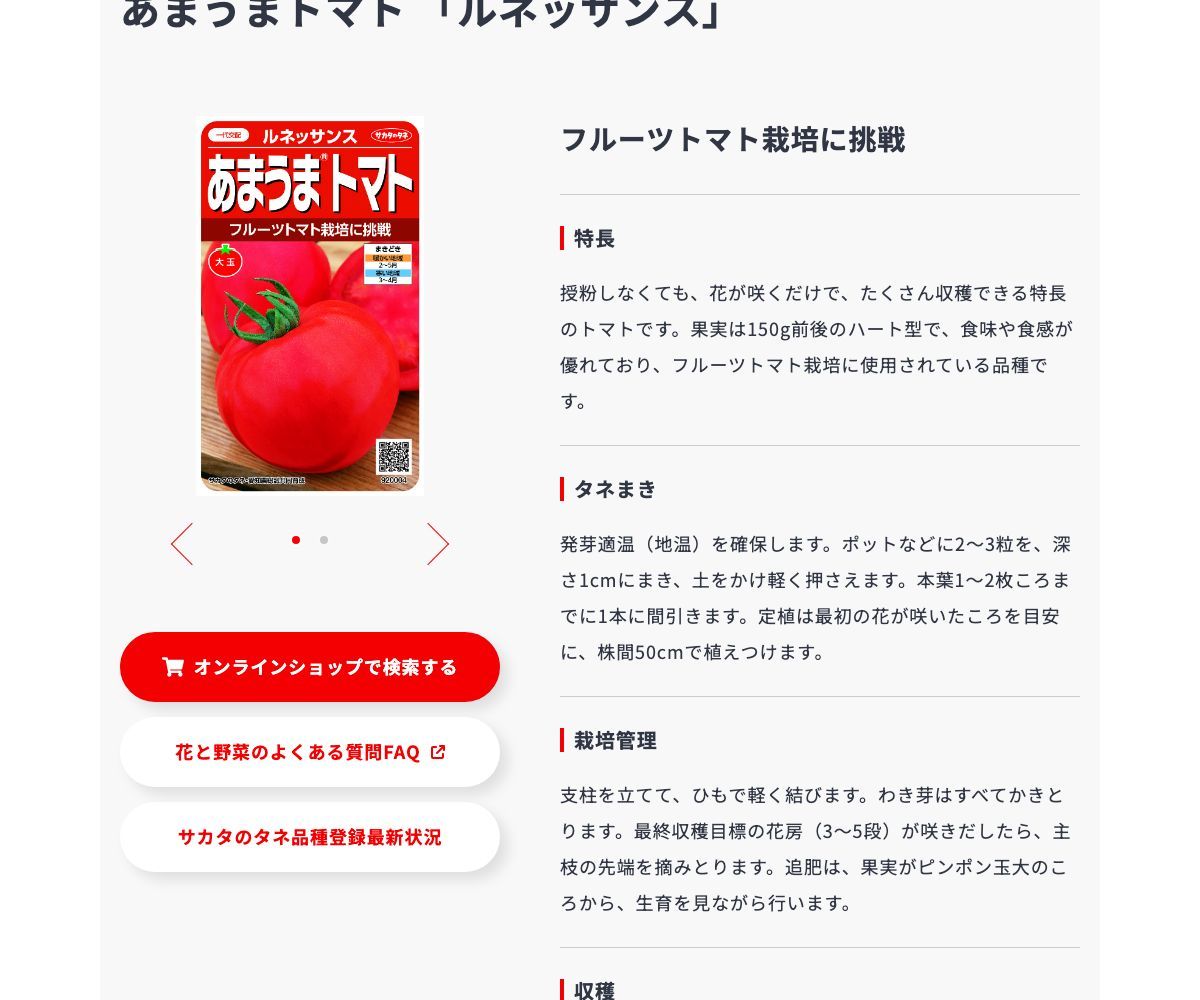 ルネッサンス
