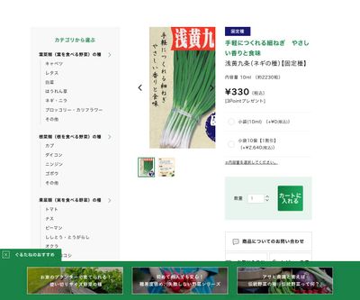 浅黄九条の画像