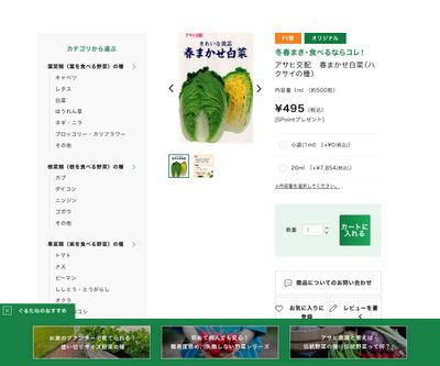 アサヒ交配 春まかせ白菜の画像