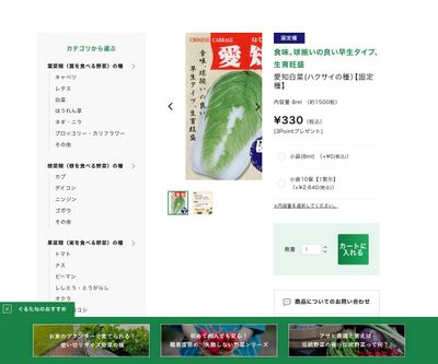 愛知白菜の画像