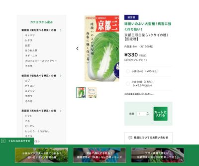 京都三号白菜の画像