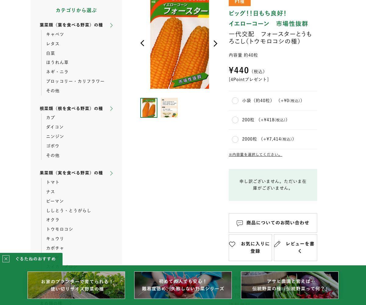 一代交配 フォースターとうもろこし