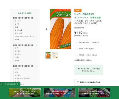 一代交配 フォースターとうもろこしの画像