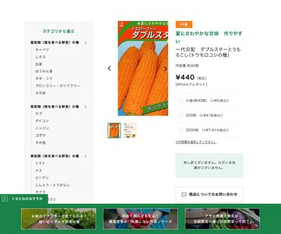 一代交配 ダブルスターとうもろこしの画像