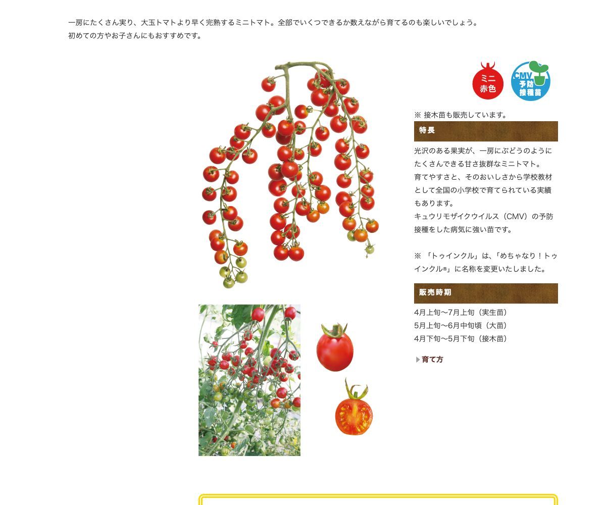 うす肌トマト