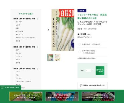 白長はつか大根 （アイシクル）の画像