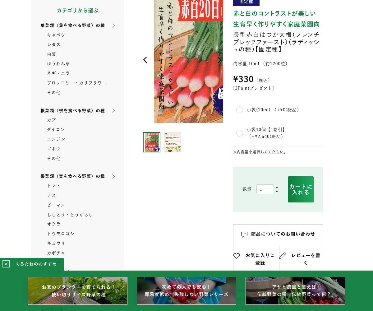 長型赤白はつか大根 (フレンチ ブレックファースト)