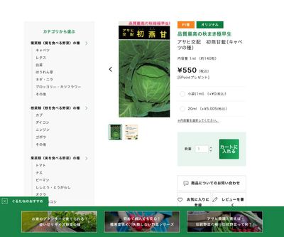 アサヒ交配 初燕甘藍の画像