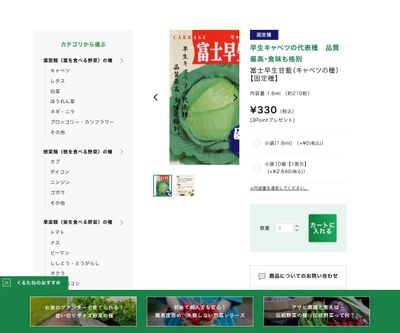 富士早生甘藍の画像