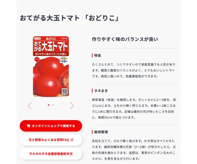 おどりこの画像