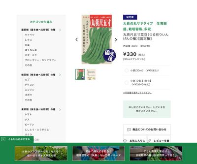 丸莢尺五寸菜豆の画像